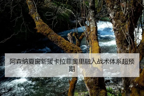阿森纳夏窗新援卡拉菲奥里融入战术体系超预期