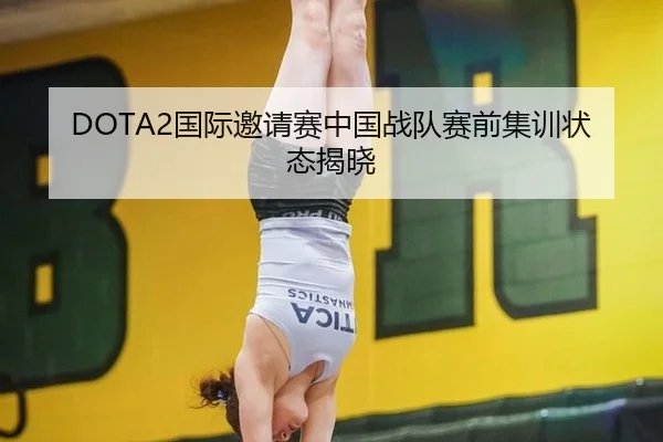 DOTA2国际邀请赛中国战队赛前集训状态揭晓